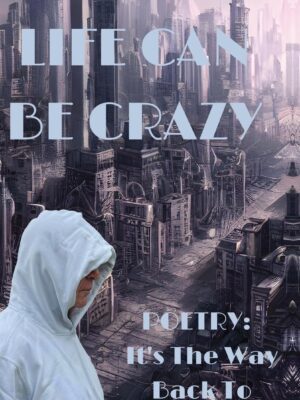 Life Can Be Crazy