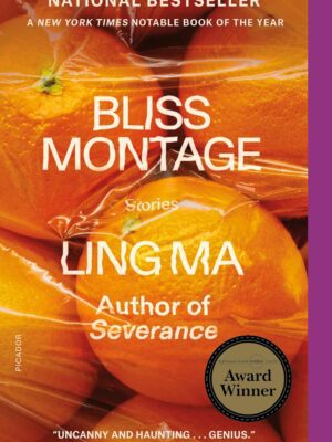 Bliss Montage: Stories