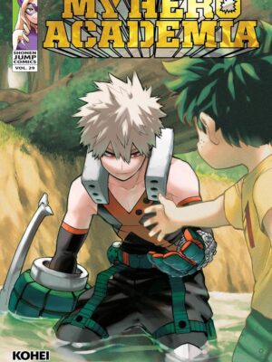 My Hero Academia, Vol. 29: Volume 29