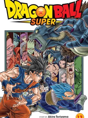 Dragon Ball Super, Vol. 13: Volume 13