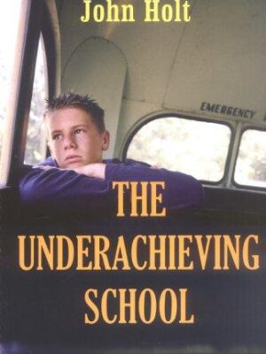 Underachiever's Guide to Love and Saving the World