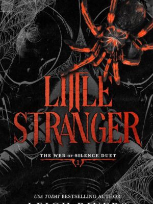 Little Stranger: A Dark Taboo Romance