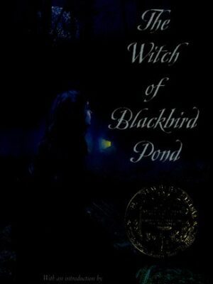 The Witch of Blackbird Pond