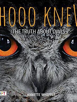 Whooo Knew? the Truth about Owls