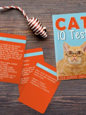 Cat Iq Test