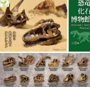 Dinosaur Fossil Figurine Capsule